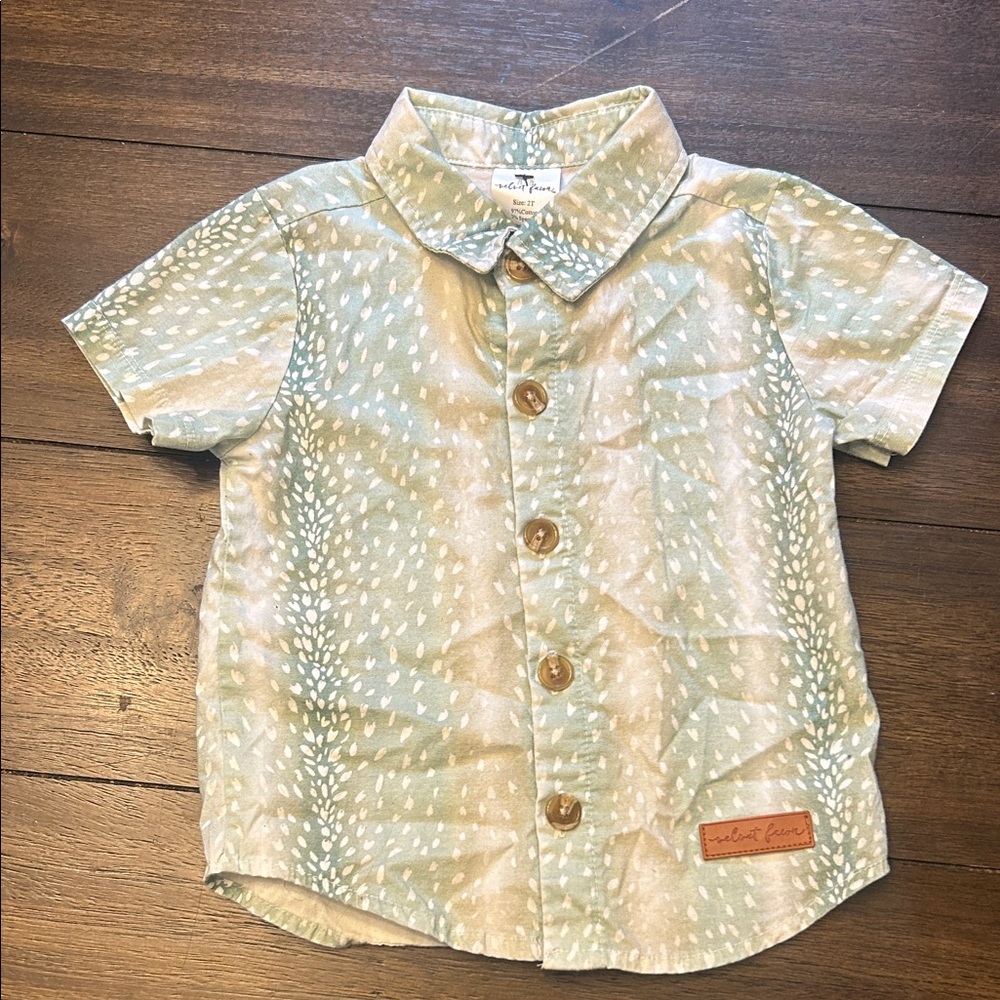 Kids Button-Up Shirt in Green by [Brand]